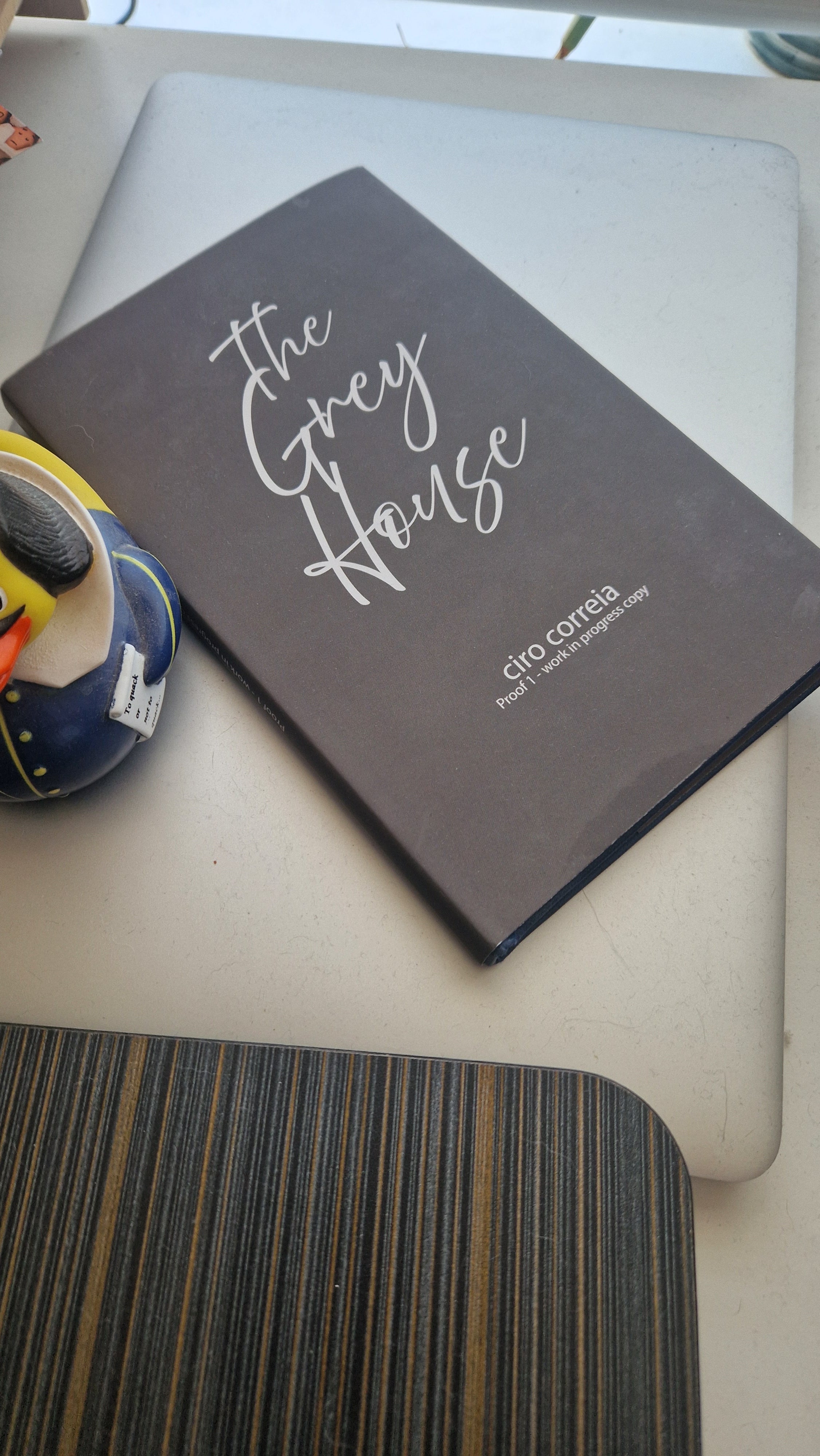 A dark gray hardcover book titled 'The Great Gatsby' with white script lettering, resting on a light-colored surface next to a striped cushion and a small blue and yellow object.